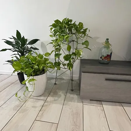 Apartment Yaya's House - Venice