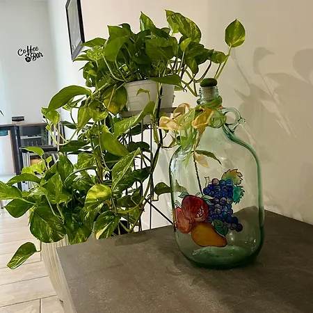 Yaya's House - Venice